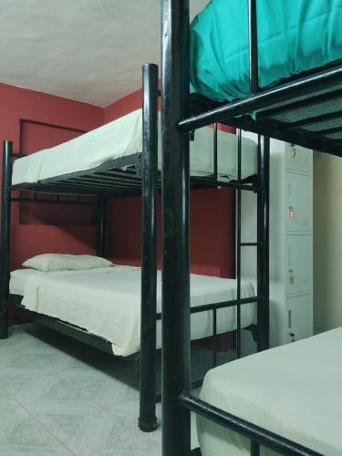 a room with three bunk beds and a red wall at Casa León in Bacalar