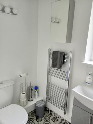 a white bathroom with a toilet and a sink at Vineyard Barns Gower in Swansea