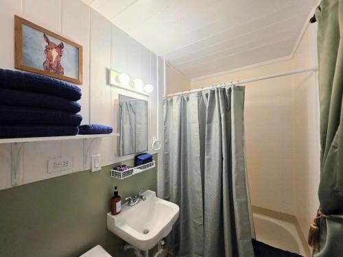 a bathroom with a shower curtain and a sink at #08 - One Bedroom Lakeview Cottage-Pet Friendly in Hot Springs