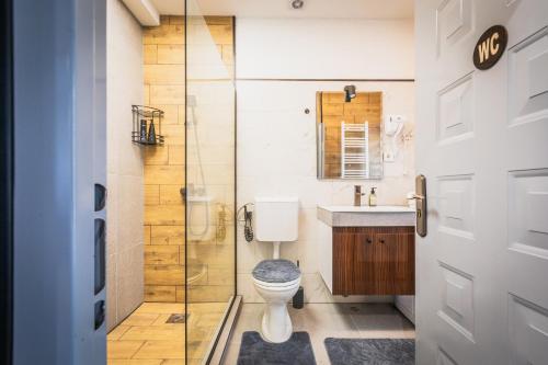 a bathroom with a toilet and a glass shower at G apartments in Gevgelija