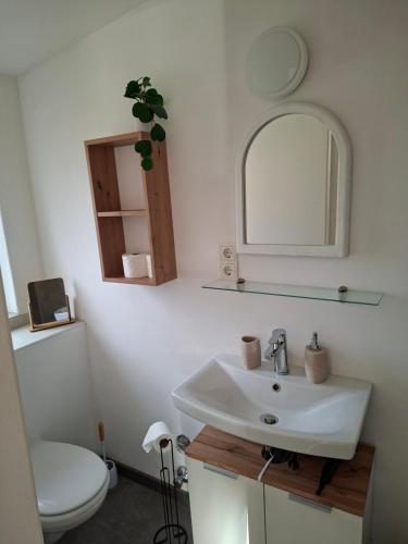 a bathroom with a sink and a mirror and a toilet at Lovely Rita Studio, modern Studio - balcony and mountain view - center Kaprun in Kaprun