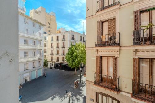 Elegant centric -1Bedroom 1Bath-Malasaña