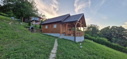 a small wooden house on a grassy hill at Vikendica Monte in Ledinci