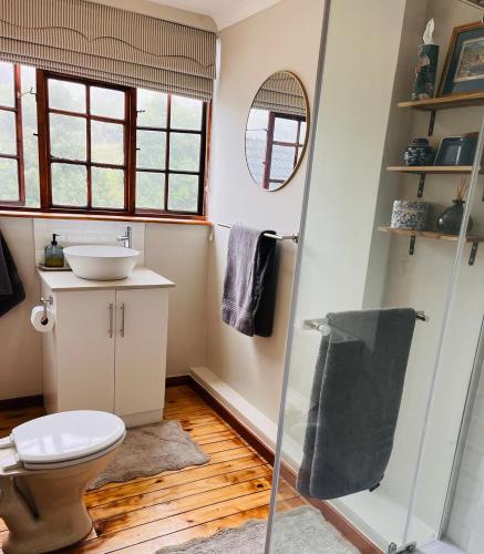 a bathroom with a toilet and a sink and a mirror at The Orchard in Hilton