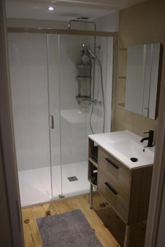a bathroom with a shower and a sink at Domaine de Calabel in Pouylebon