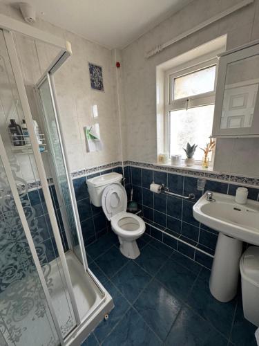 a bathroom with a toilet and a sink and a shower at Erris Ocean House in Belmullet