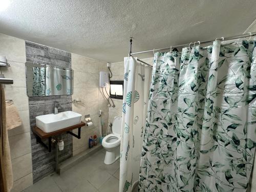 a bathroom with a toilet and a shower curtain at Seaside View Terrace Apartment in Mauritius