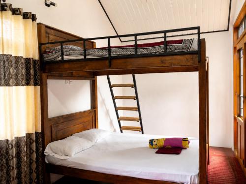 a bedroom with two bunk beds and a ladder at Haputala Blossom guest in Haputale