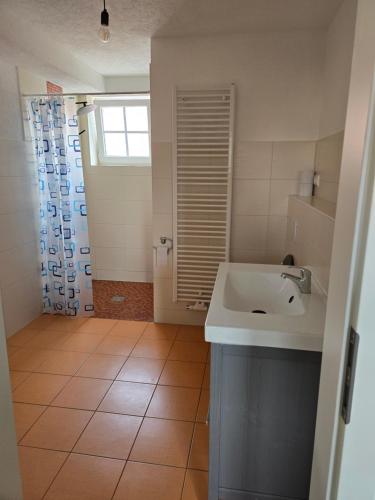 a bathroom with a sink and a shower at Ferienhaus An der Teufelsklippe in Veckenstedt