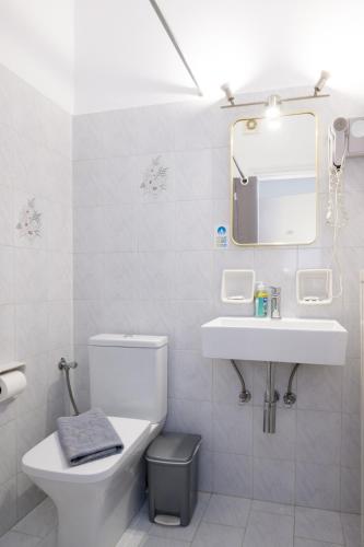 a bathroom with a toilet and a sink and a mirror at To Steno in Kamares
