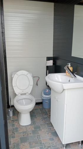 a bathroom with a white toilet and a sink at Balta Roșie in Râu de Mori