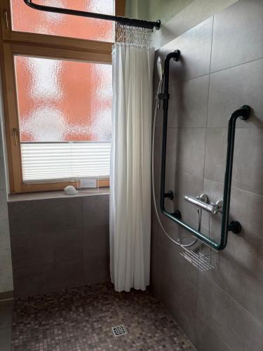 a shower curtain in a bathroom with a window at Apartment Am Gondelteich in Bad Elster