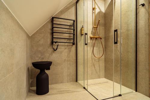 un bagno con doccia in vetro e WC di Drevia a Istebna