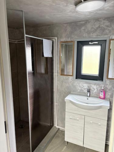 a bathroom with a shower and a sink at Complex turistic Casa Diaconu in Breaza