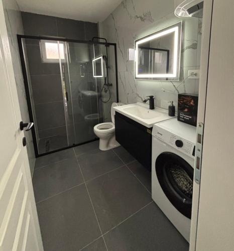 a bathroom with a sink and a washing machine at Visitor Apartment-Plav in Plav