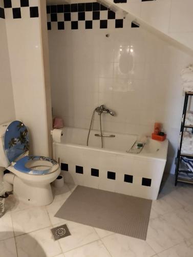 a bathroom with a toilet and a bath tub at Dar Fouzia in Hammamet Sud