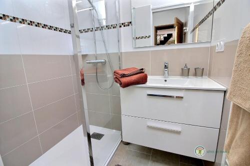 a bathroom with a shower and a sink at Ty feuteun in Lanvellec