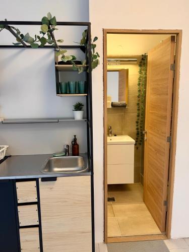 a small kitchen with a sink and a mirror at Müller's 2 in Siófok