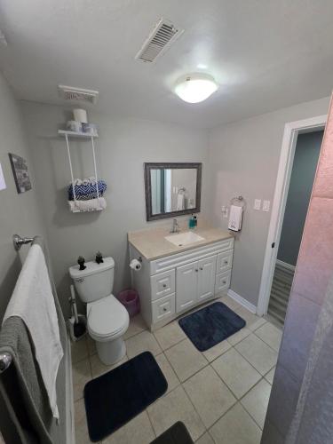 a bathroom with a toilet and a sink and a mirror at Bright Cozy 2-Bedroom Main Floor Suite in Brampton