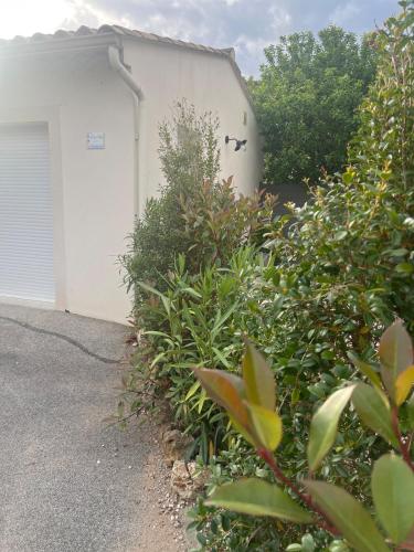 Charming 4-person apartment with garden