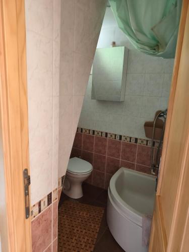 a small bathroom with a toilet and a sink at Iza sedam gora in Rakovac