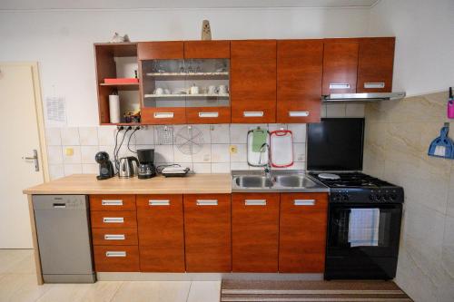Apartments Plavsic