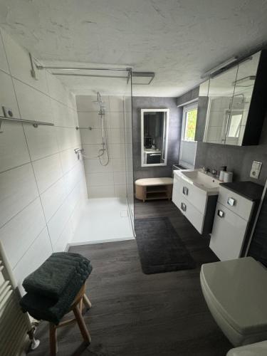 a bathroom with a shower and a toilet and a sink at Ferienwohnung bei Karl in Schmallenberg