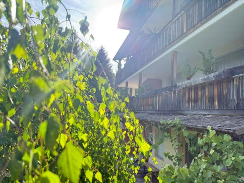 a view of a building from behind a plant at Fuchsmaurer Plose - Apartments bei Brixen in Bressanone