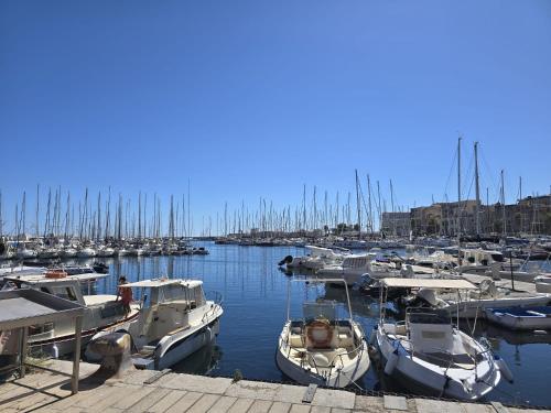 Luxury Apartament's Celso photo 28