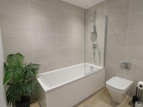 a bathroom with a tub and a toilet and a shower at Glynllifon 9 in Llanallgo