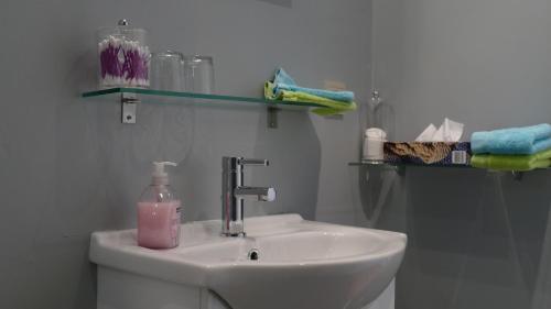 łazienka z umywalką i butelką mydła w obiekcie Aux Cosmos w mieście Olne