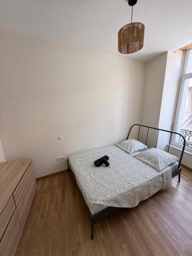 a bedroom with a bed with a cat laying on it at T2 lumineux et tout équipé centre Annonay in Annonay