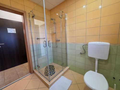 a bathroom with a shower and a toilet at Guest House Bunčić Rooms in Slunj