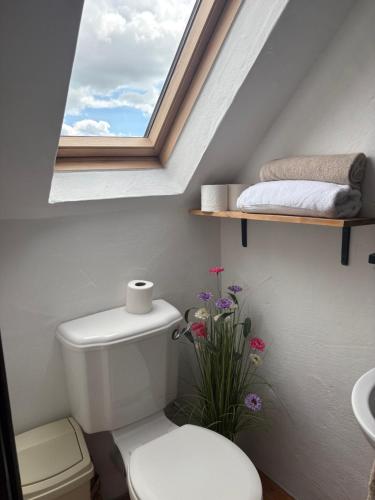 a bathroom with a toilet and a window at THE FARMHOUSE Room 2 in Balcunnin