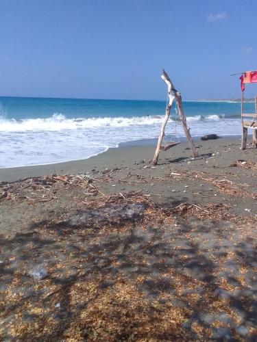 a beach with a bunch of seaweed on the sand at Cozy Chateau in Heart Ease