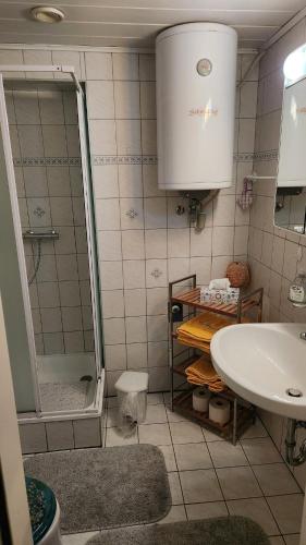 a bathroom with a shower and a sink at Ferienhaus Schmidlhof in Oggau
