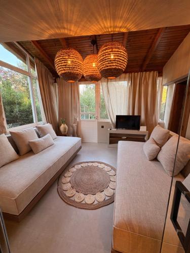 a living room with two couches and a television at Olive Grove Retreat Paxos in Vlachopoulátika