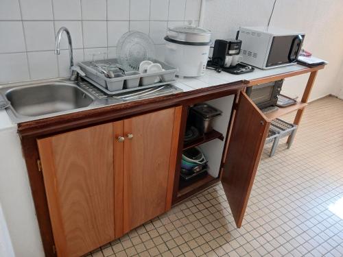 eine Küchenarbeitsplatte mit Spüle und Mikrowelle in der Unterkunft Claudia STUDIO in Basse-Terre