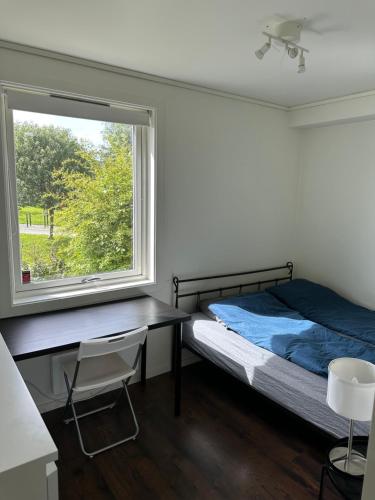 Foto Alfred Apartment in Trondheim 2