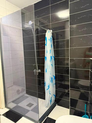 a shower with a glass door in a bathroom at City-Center Space in Mitrovica