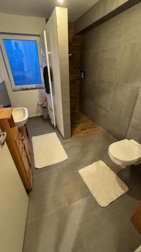a bathroom with a toilet and a sink and a window at Ferienwohnung Emerson 2 in Edemissen