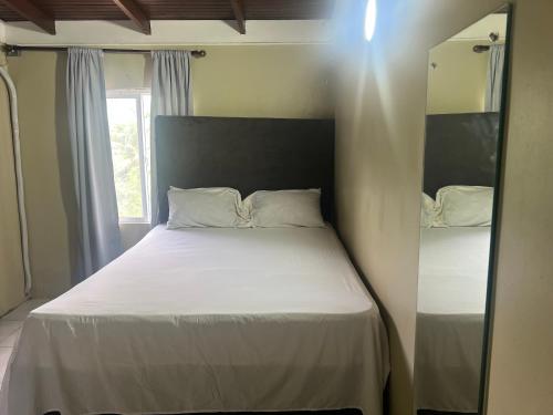 a bedroom with a white bed with a mirror at Manor Villas in Kingston