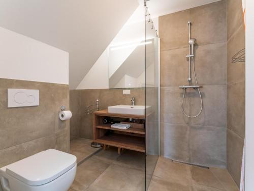 a bathroom with a shower and a toilet and a sink at Passhöhe in Hohentauern