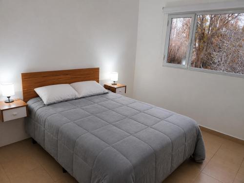 a bedroom with a large bed with two night stands at Complejo Los Arrayanes - Plottier in Plottier
