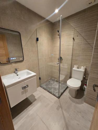 a bathroom with a shower and a toilet and a sink at عروس النخيل in Tétouan