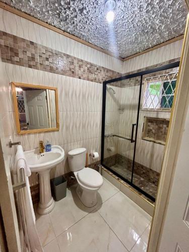 a bathroom with a shower and a toilet and a sink at Coke Guest House in Mandeville