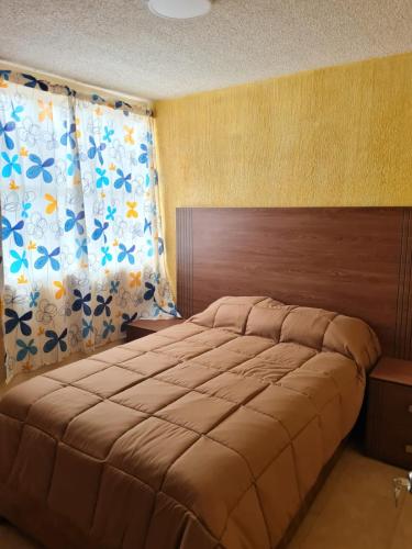 a bedroom with a large bed and a curtain at Full Apartment Teotihuacan Centro in San Juan Teotihuacán