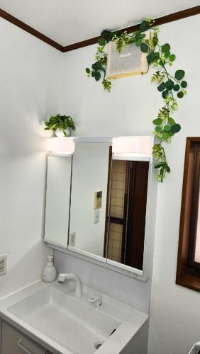 a bathroom sink with a mirror and some plants at 足利すまいるハウス in Ashikaga