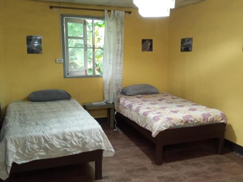 two beds in a room with a window at Mr Deang shop Doi Inthanon bird center in Ban Na Yang