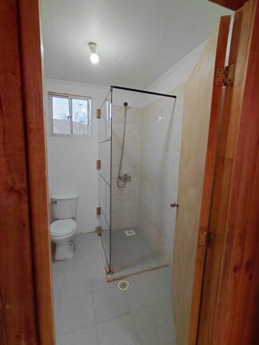 a bathroom with a shower and a toilet at Cabaña Los Cactus en Mamalluca in El Durazno